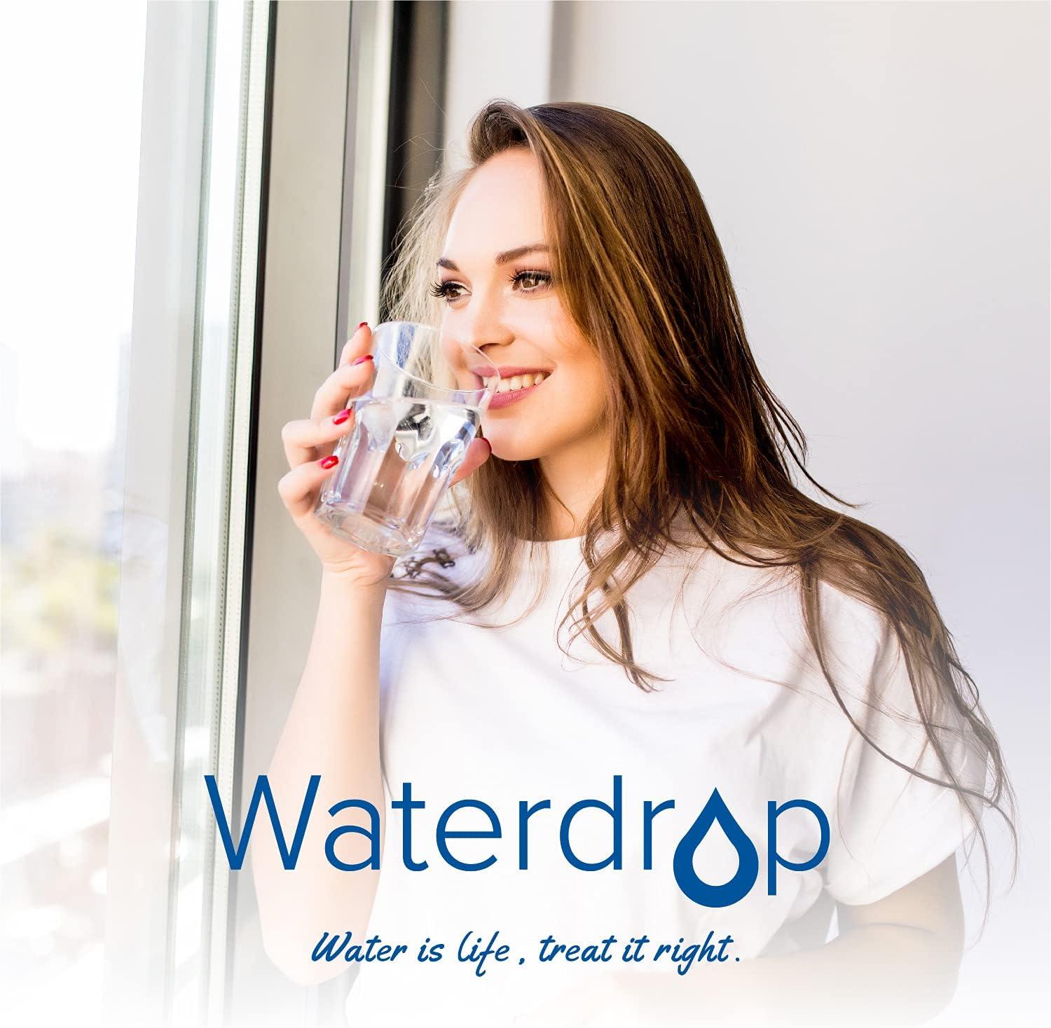 imageOriginal Waterdrop WDPFAL Replacement Alkaline Filters for All Waterdrop Pitcher Filtration System Improved Coffee Taste Last Up to 100 Gallons Pack of 3Alkaline Filter