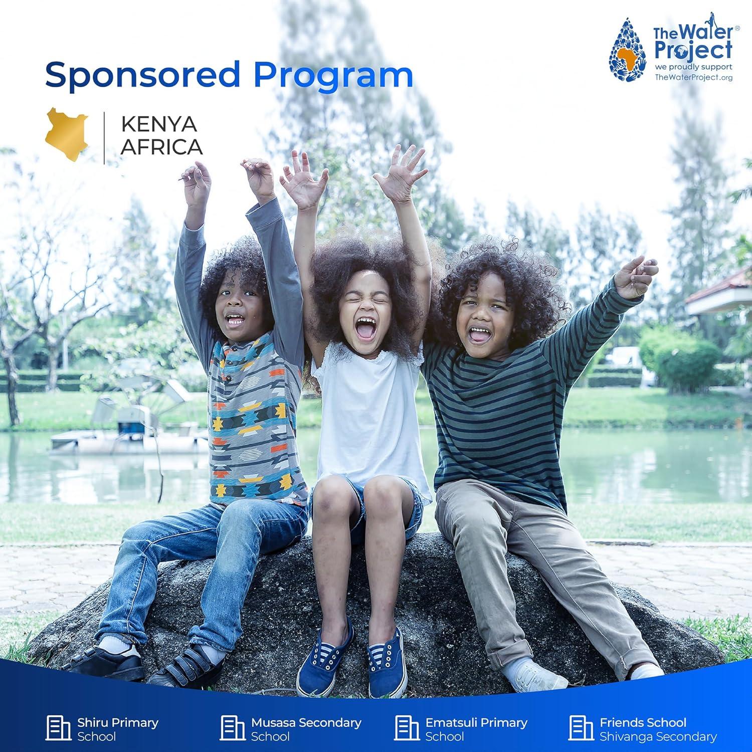 imageWaterdrop Plus 469690 ADQ36006101  ampamp Refrigerator Water Filter   Replacement for LG LT700P Kenmore 9690 ADQ36006102 WSL3 FML3 2 Pack Package May Vary