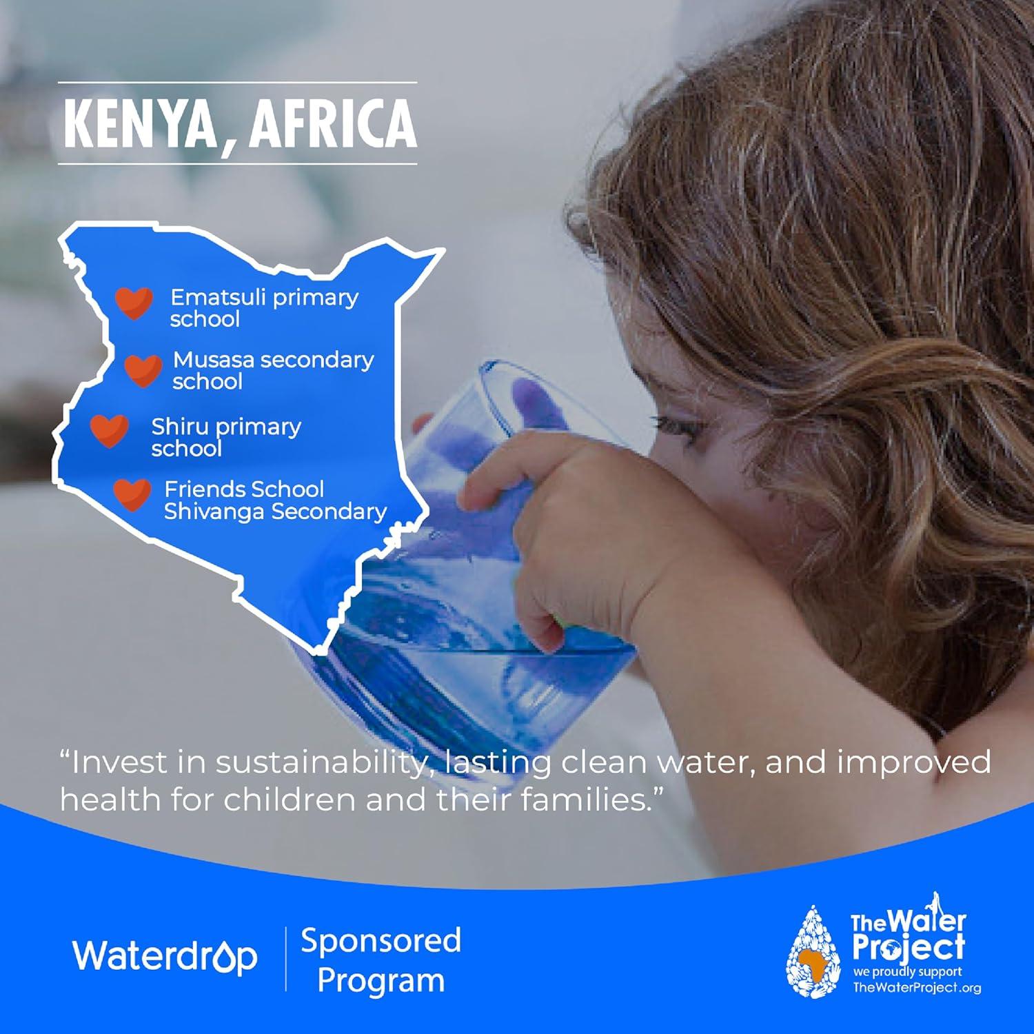 imageWaterdrop Remineralization Filter WDMNR35 14quot Quick Connect Mineral Filter for Reverse Osmosis System Restore Essential Minerals for RO System RO Mineral Under Sink Water Filtration1 Mineral Filter