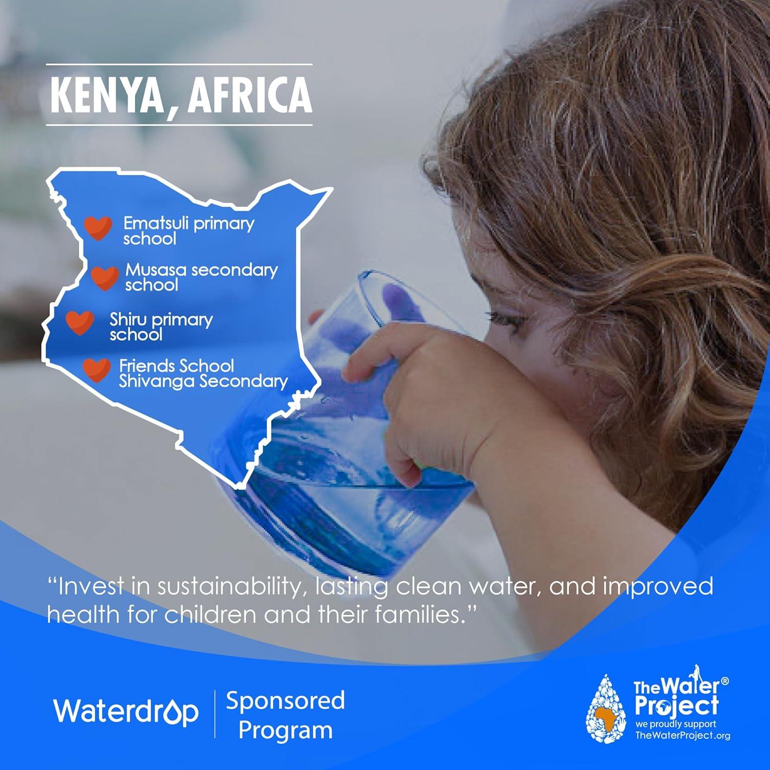 imageWaterdrop WDK19RF Filter Replacement for WDK19S and WDK19H Countertop Reverse Osmosis System 12month Lifetime