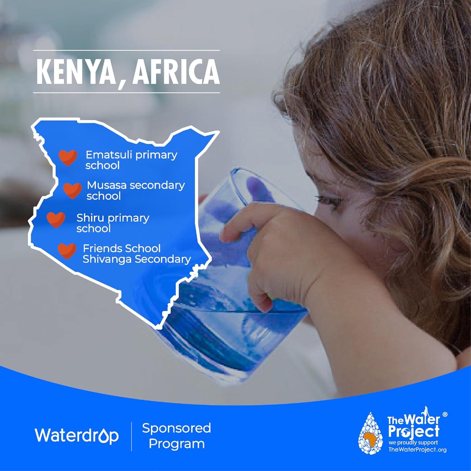 imageWaterdrop WDK19RFFK Filter Replacement for WDK19SFK Countertop Reverse Osmosis System 12month Lifetime