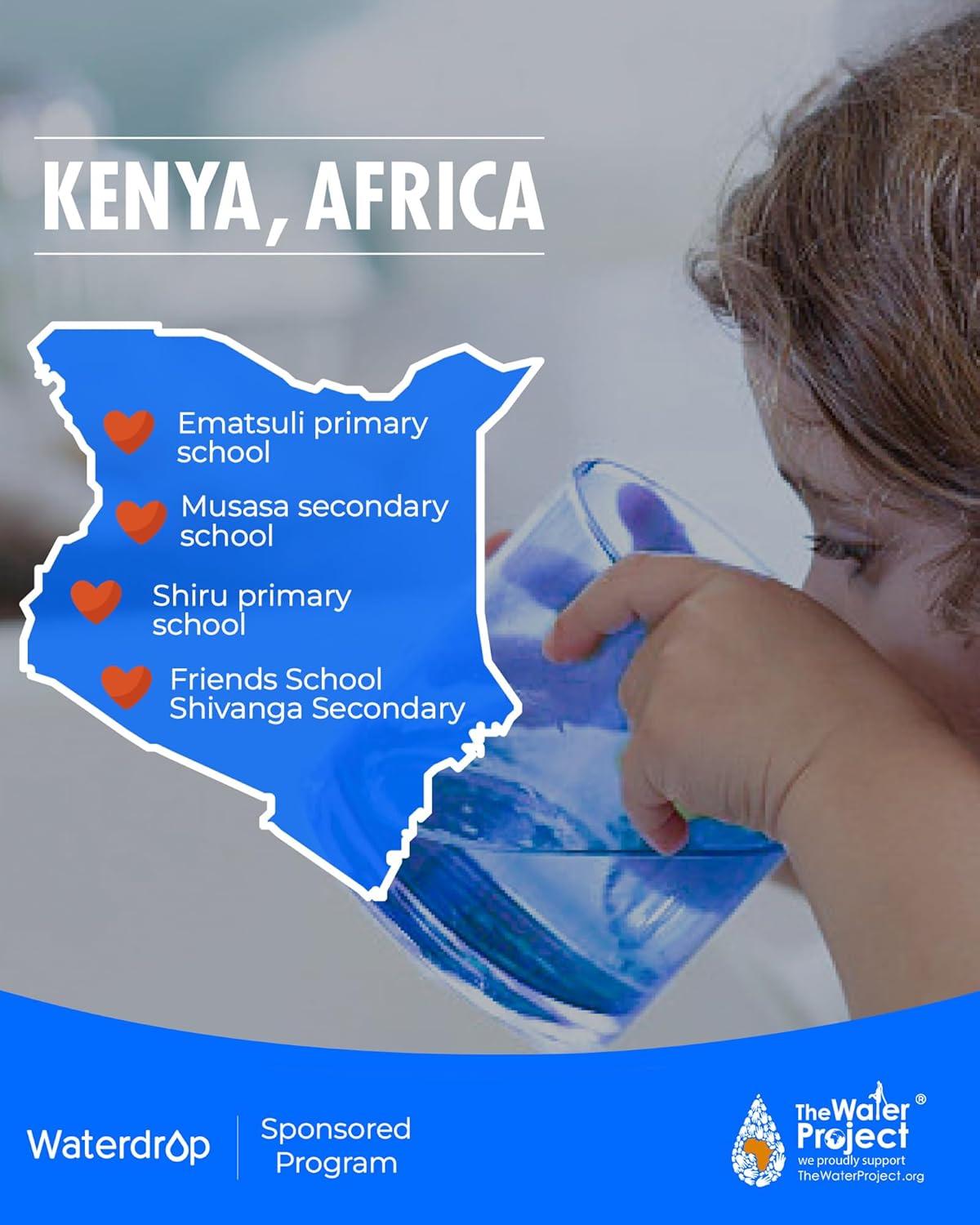 imageWaterdrop WF1CB Replacement for Frigidaire PureSource WFCB RG100 NGRG2000 WF284 9910 469906 469910 Refrigerator Water Filter 6 Filters6 Count Pack of 1