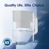 imageWaterdrop Alkaline Lucid 10Cup Large Water Filter Pitcher with 1 Filter Healthy Improved Coffee Taste Clean ampamp ToxinFree Mineralized Alkaline Water 100 Gallons Up to PH 95 BPA Free BlueWhite
