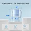 imageWaterdrop Alkaline Lucid 10Cup Large Water Filter Pitcher with 1 Filter Healthy Improved Coffee Taste Clean ampamp ToxinFree Mineralized Alkaline Water 100 Gallons Up to PH 95 BPA Free BlueBabyBlue