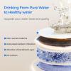 imageWaterdrop WDF1A Alkaline Mineral pH Filter Replacement for WDX8Alkaline ampamp WDX12Alkaline ampamp WDX12PRO ampamp WDX16Alkaline Reverse Osmosis System 12month Lifetime