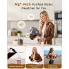 imageWaterdrop Cold Brew Coffee Maker with 1 Magnesium Water Filter for WellBalanced Acidity Unlocks Aroma BPAFree Cold Brew Pitcher Stainless Steel Filter for Iced Coffee Tea Lemonade BlackBlack